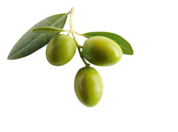Aceitunas
